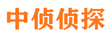 龙里寻人公司